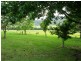 2381 Kangaroo Creek Road, Kangaroo Creek NSW 2460