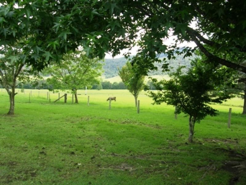 2381 Kangaroo Creek Road, Kangaroo Creek NSW 2460