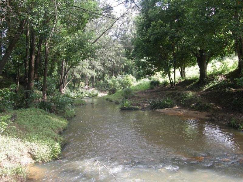 2367 Kangaroo Creek Road, Grafton NSW 2460