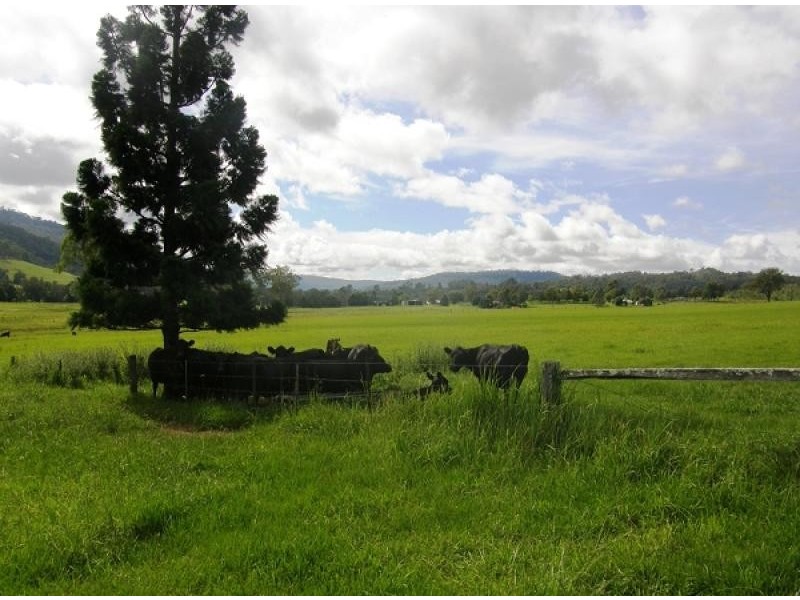 2367 Kangaroo Creek Road, Grafton NSW 2460