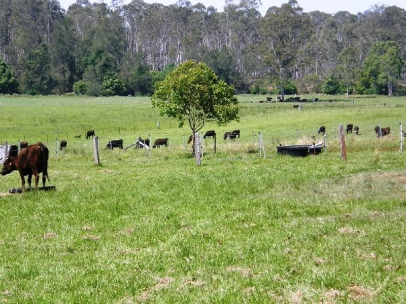 39 Cattle Creek Road, Ramornie NSW 2460