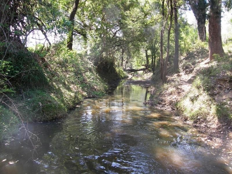 39 Cattle Creek Road, Ramornie NSW 2460