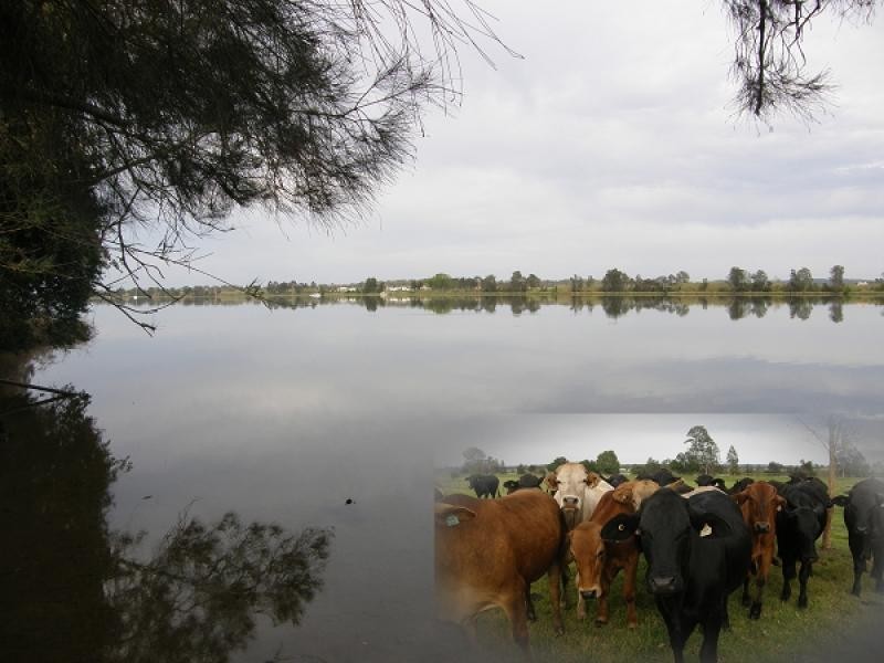 1897 Pacific Highway, Cowper NSW 2460