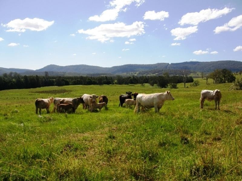 2469 KANGAROO CREEK ROAD, Grafton NSW 2460