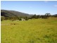 2469 KANGAROO CREEK ROAD, Grafton NSW 2460
