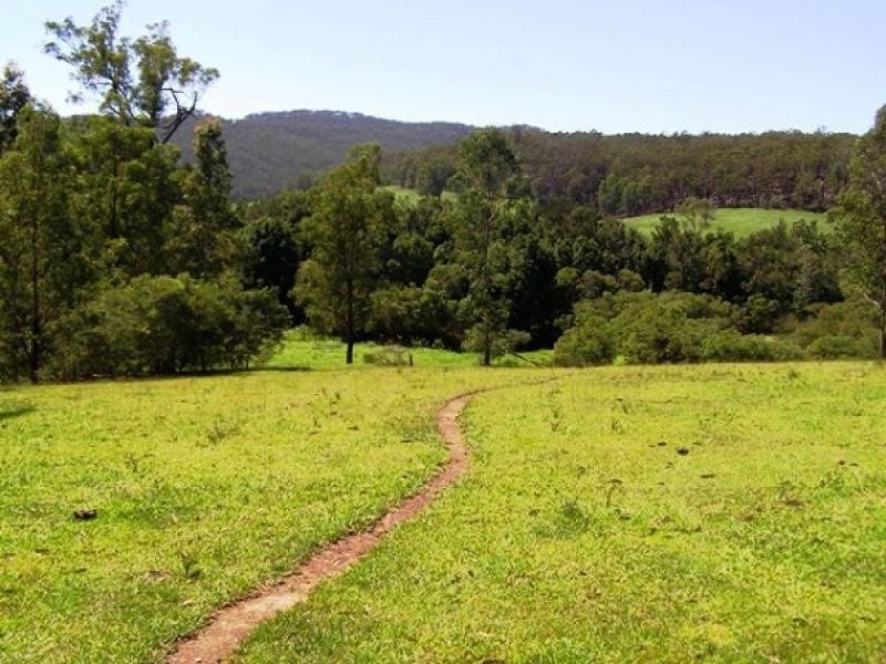 3100 Armidale Road, Blaxlands Creek NSW 2460