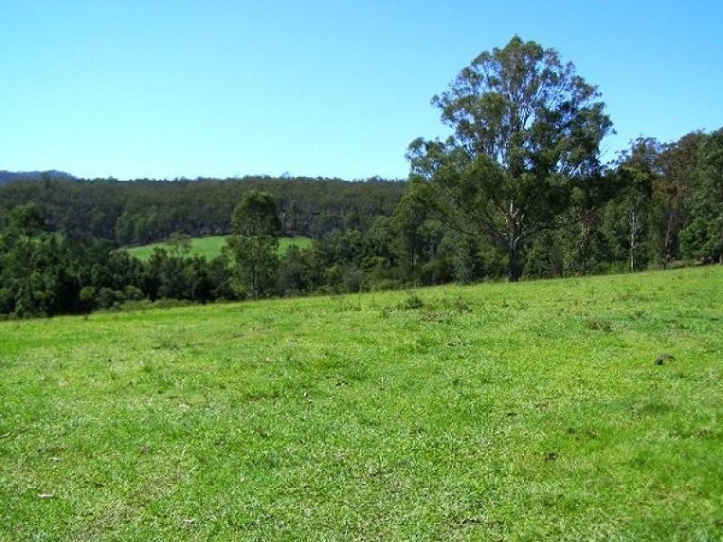 3100 Armidale Road, Blaxlands Creek NSW 2460