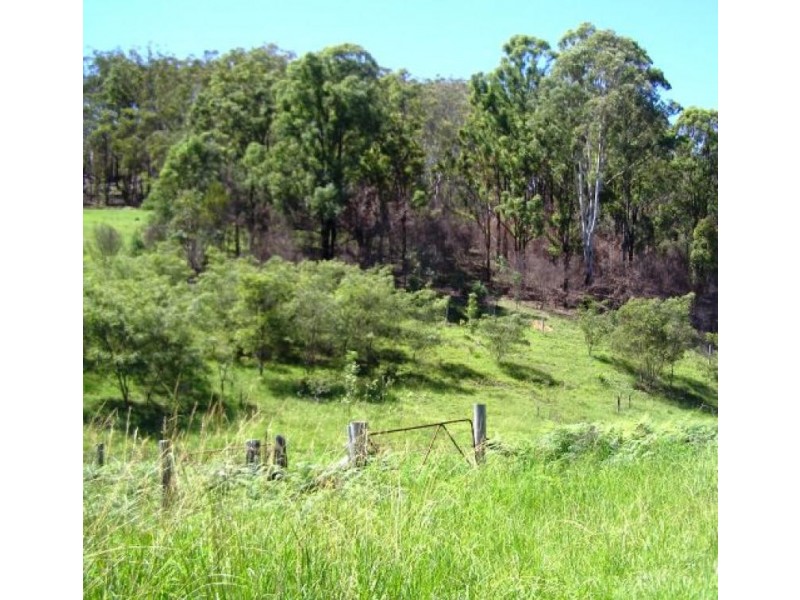 3100 Armidale Road, Blaxlands Creek NSW 2460