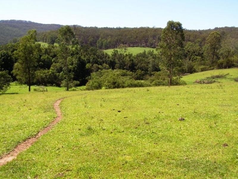 3100 Armidale Road, Blaxlands Creek NSW 2460