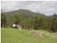 7056 Old Glen Innes Road, Dalmorton NSW 2460