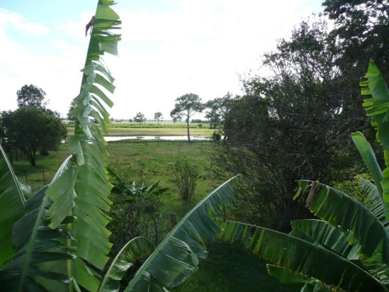 572 Coldstream Road, Ulmarra NSW 2462