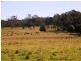 142 REILLEYS LANE,  GLENUGIE, Grafton NSW 2460