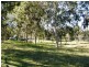 142 REILLEYS LANE,  GLENUGIE, Grafton NSW 2460