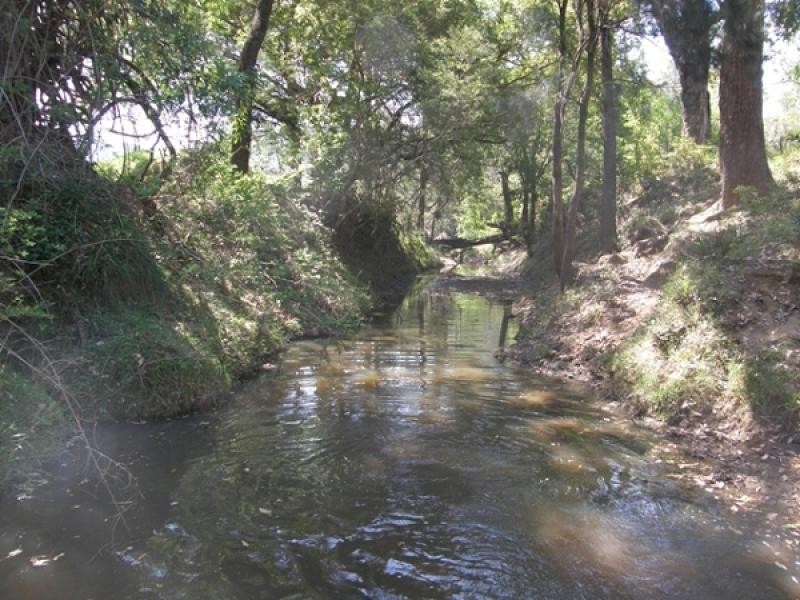 39 CATTLE CREEK ROAD,RAMORNIE, Grafton NSW 2460