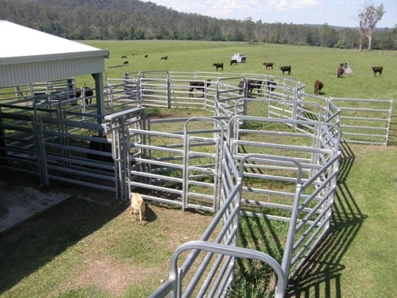 39 CATTLE CREEK ROAD,RAMORNIE, Grafton NSW 2460