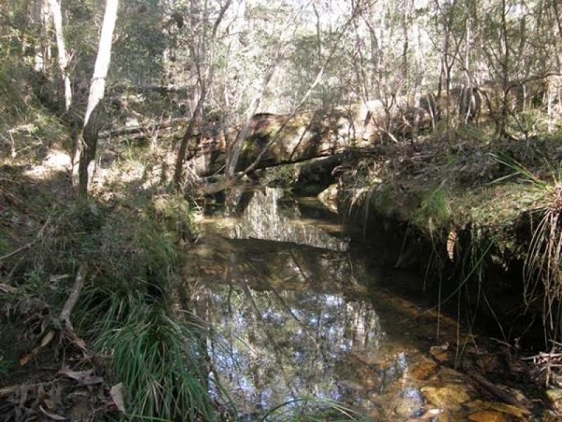 41 GLENS CREEK ROAD, NYMBOIDA, Grafton NSW 2460