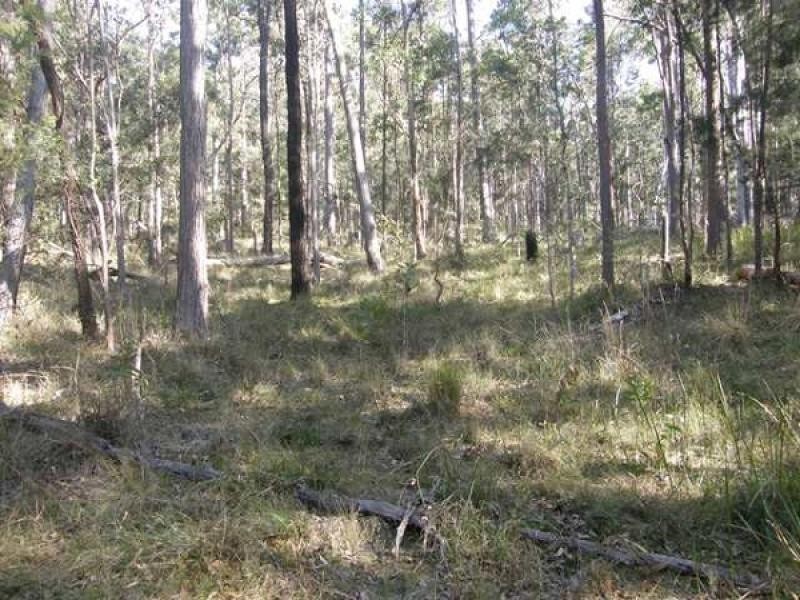 41 GLENS CREEK ROAD, NYMBOIDA, Grafton NSW 2460