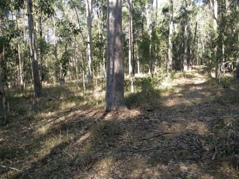 41 GLENS CREEK ROAD, NYMBOIDA, Grafton NSW 2460