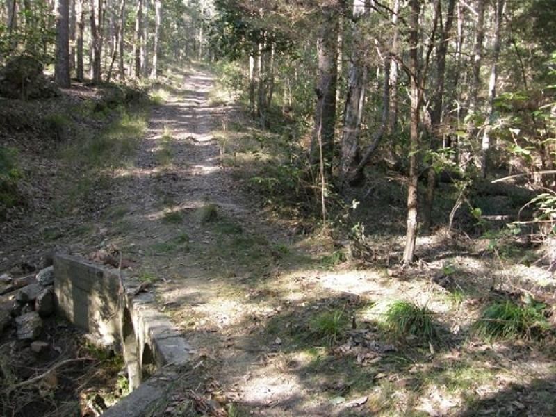 41 GLENS CREEK ROAD, NYMBOIDA, Grafton NSW 2460