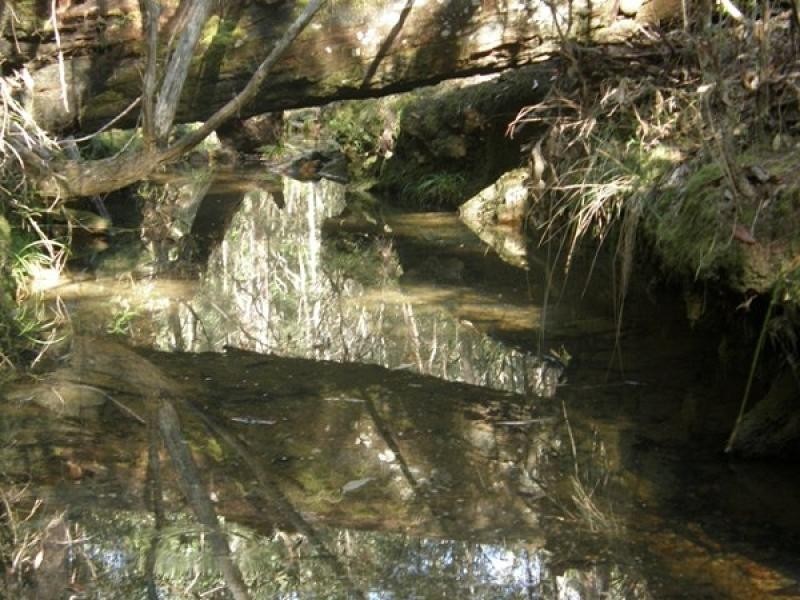 41 GLENS CREEK ROAD, NYMBOIDA, Grafton NSW 2460