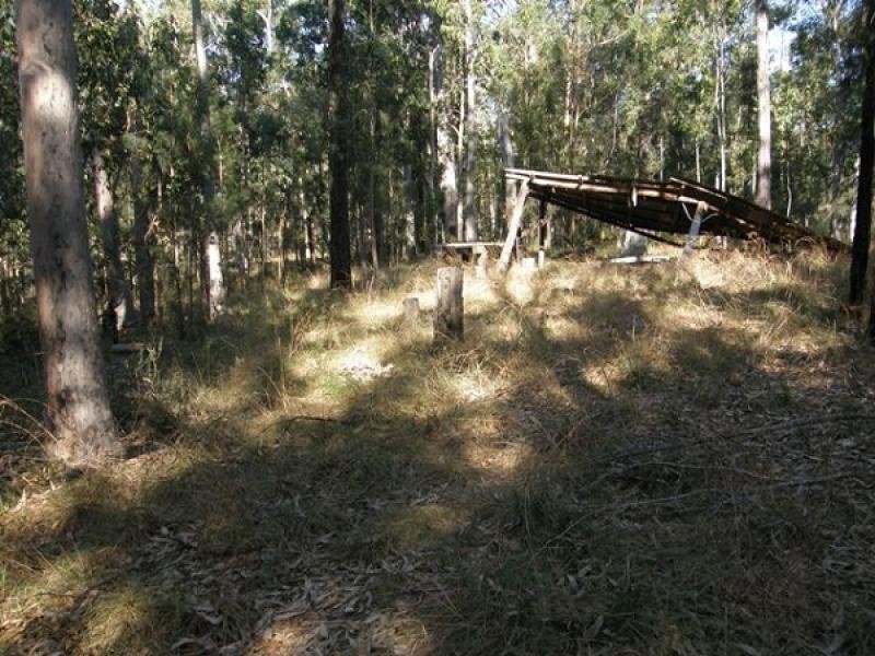 41 GLENS CREEK ROAD, NYMBOIDA, Grafton NSW 2460