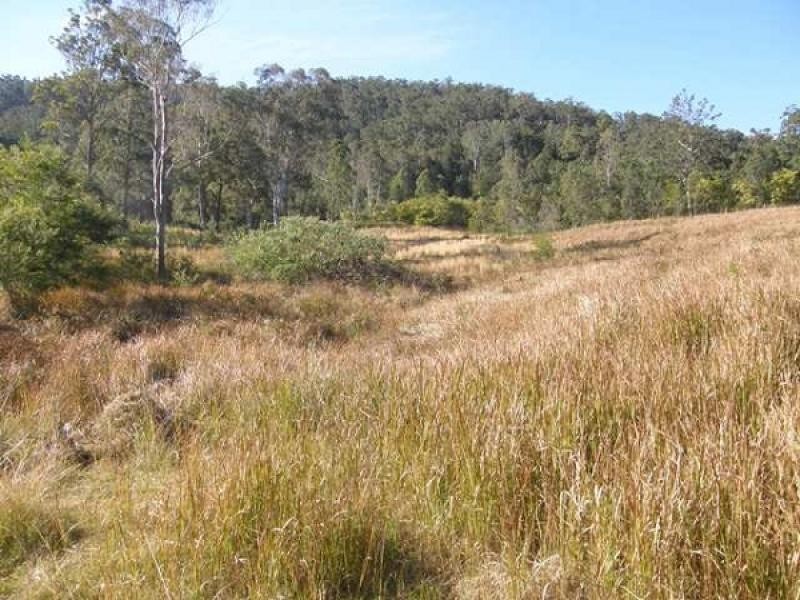 Lot 41 FRICKERS ROAD, NYMBOIDA, Grafton NSW 2460