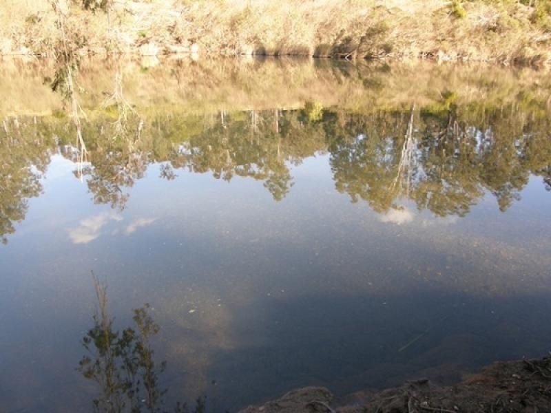 Lot 41 FRICKERS ROAD, NYMBOIDA, Grafton NSW 2460