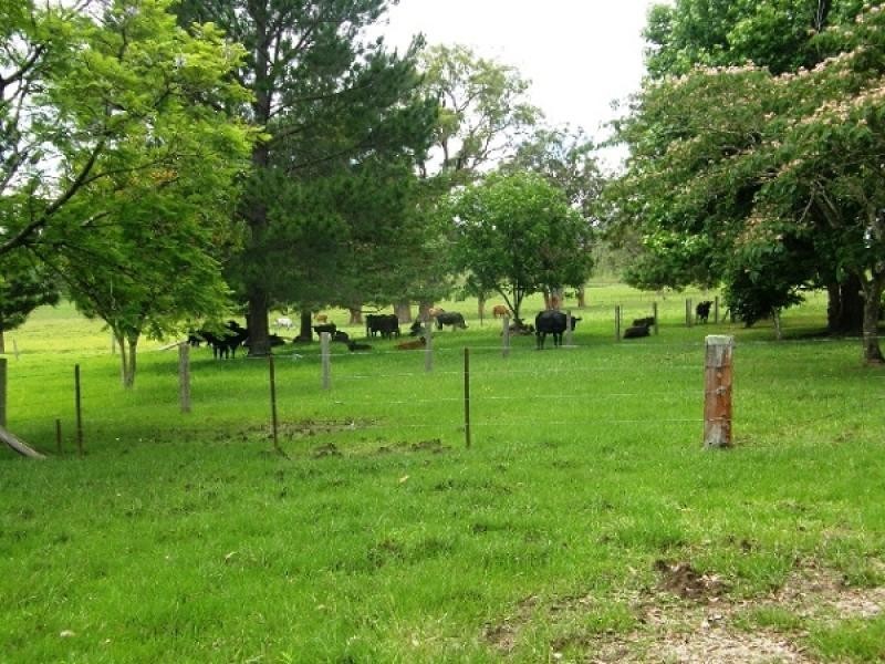 2381 KANGAROO CREEK ROAD, KANGAROO CREEK, Grafton NSW 2460