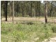 294 Burragan Road, Coutts Crossing NSW 2460