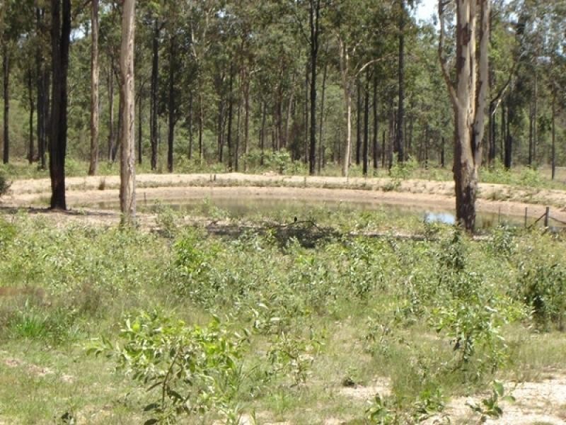 294 Burragan Road, Coutts Crossing NSW 2460