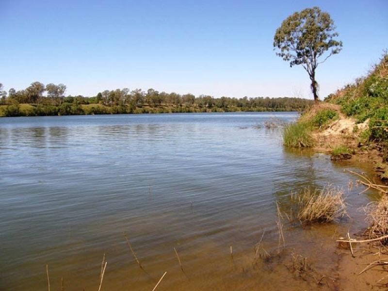 211 MC GRATHS LANE, THE WHITEMAN, Grafton NSW 2460
