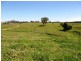211 MC GRATHS LANE, THE WHITEMAN, Grafton NSW 2460
