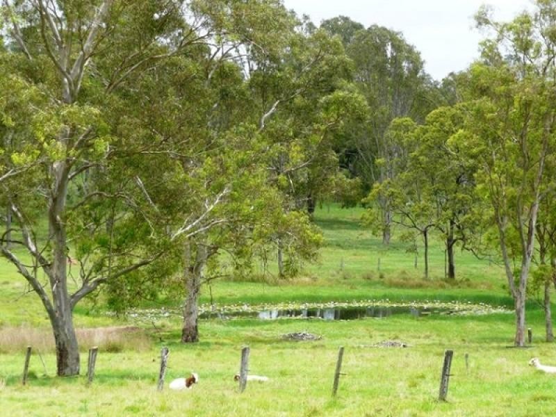 57 Ellem Lane, The Whiteman, Grafton NSW 2460