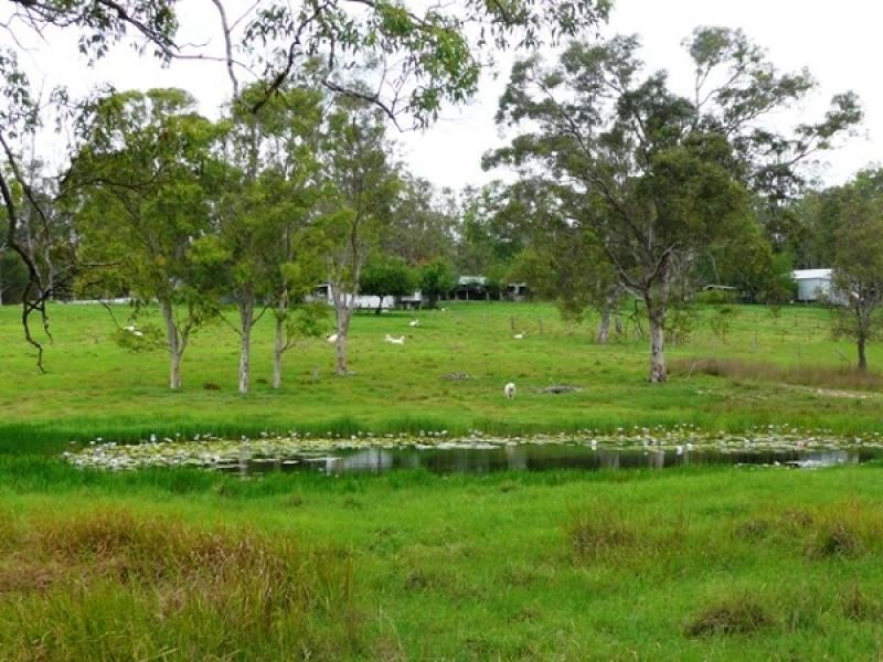 57 Ellem Lane, The Whiteman, Grafton NSW 2460