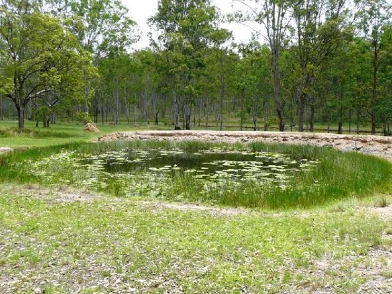 57 Ellem Lane, The Whiteman, Grafton NSW 2460