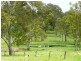 57 Ellem Lane, The Whiteman NSW 2460