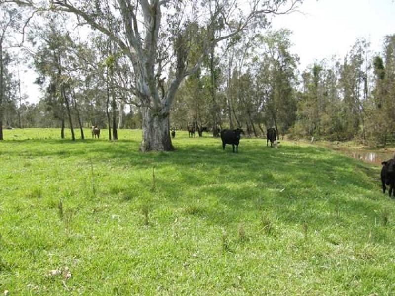 142 REILLEYS LANE, GLENUGIE, Grafton NSW 2460