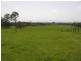 142 REILLEYS LANE, GLENUGIE, Grafton NSW 2460