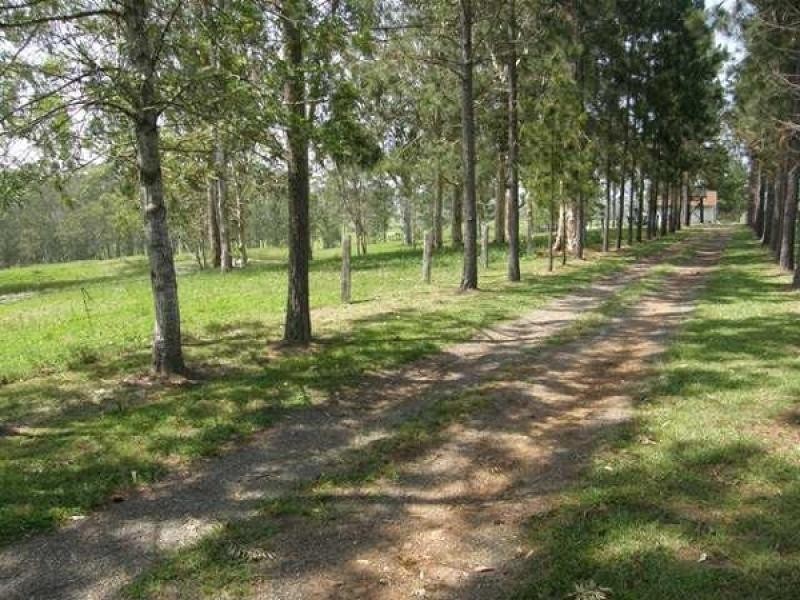 142 REILLEYS LANE, GLENUGIE, Grafton NSW 2460