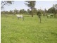 142 REILLEYS LANE, GLENUGIE, Grafton NSW 2460