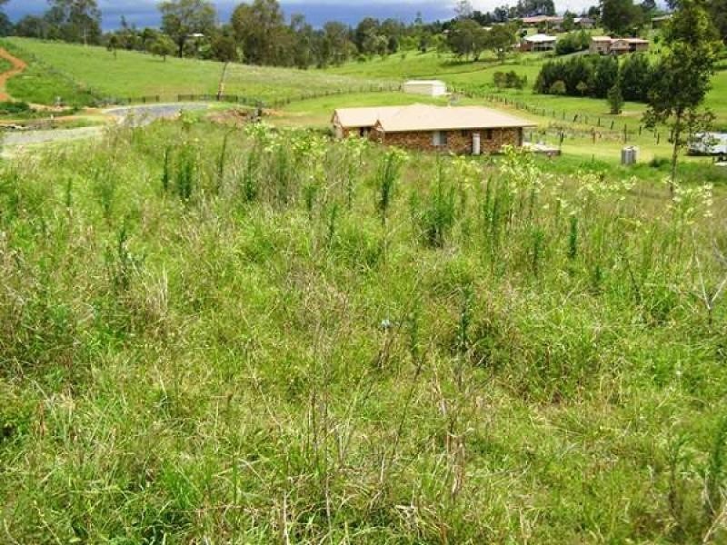 2 Berger Place, South Grafton NSW 2460