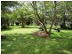 262 Sandy Swamp Road, Coutts Crossing NSW 2460