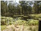 Lanitza NSW 2460