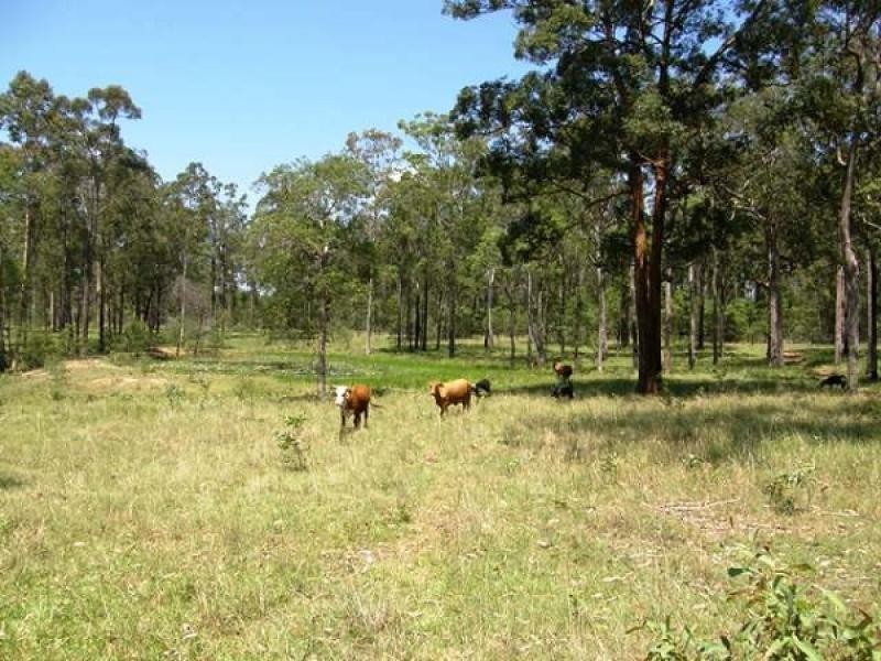 Lanitza NSW 2460