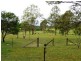 110 Eatonsville, Waterview Heights NSW 2460