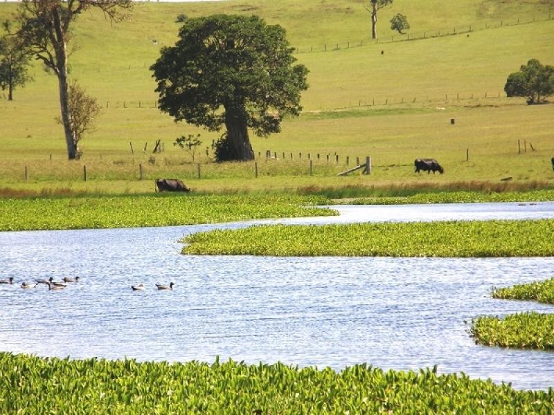 Lot 311 SELECTION LANE, Grafton NSW 2460