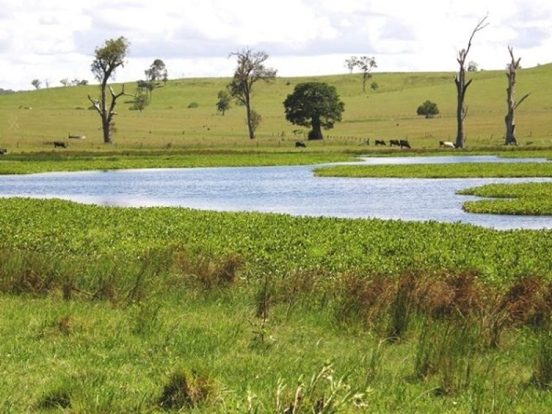 Lot 311 SELECTION LANE, Grafton NSW 2460