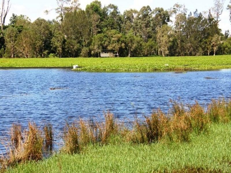 Lot 311 SELECTION LANE, Grafton NSW 2460