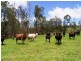 2899 Gwydir Highway, Jackadgery NSW 2460