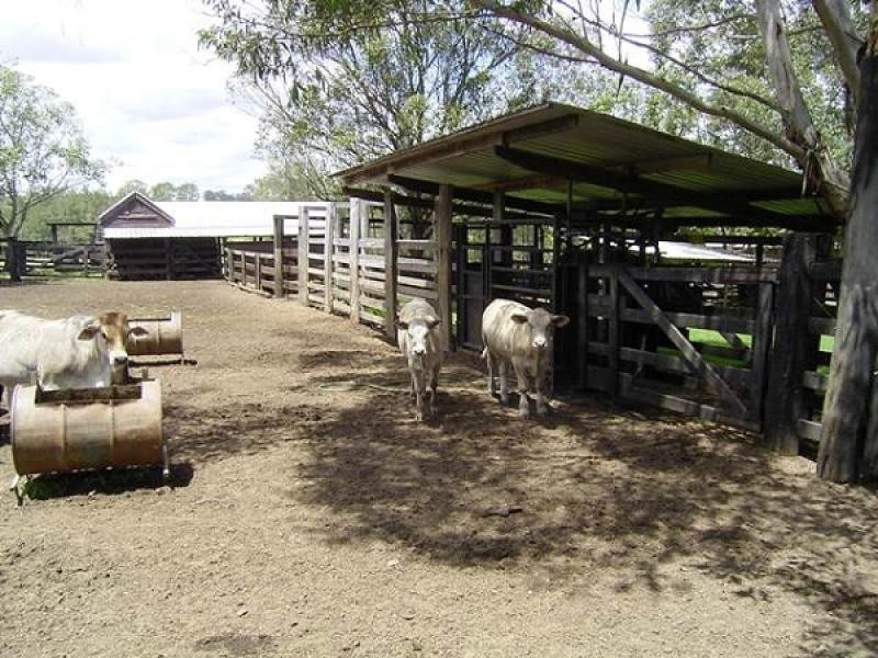 2899 Gwydir Highway, Jackadgery NSW 2460